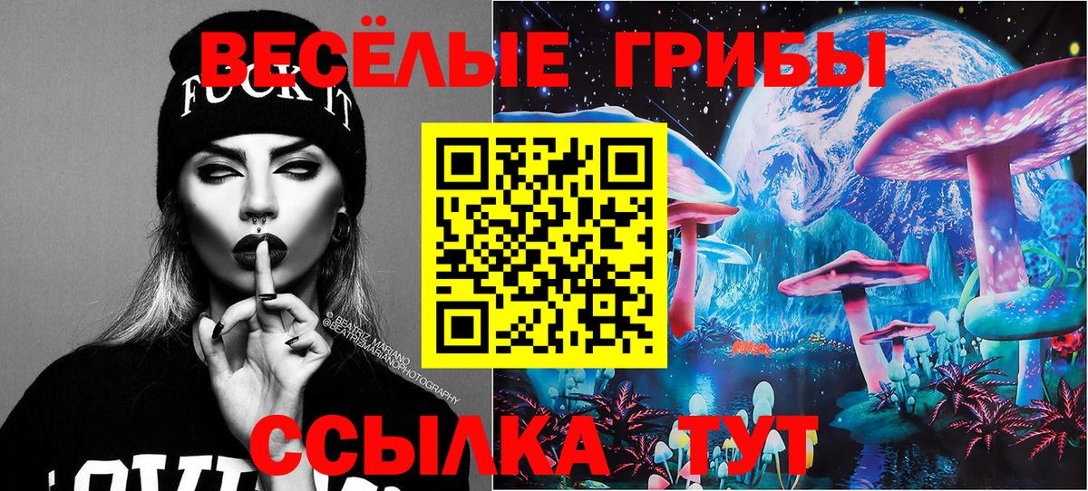 Псилоцибиновые грибы Psilocybine cubensis  Вход с VPN  Ирбит 